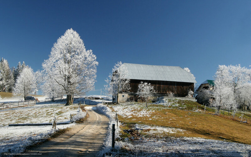 Frost-covered Barn — Blue, Serene, Winter