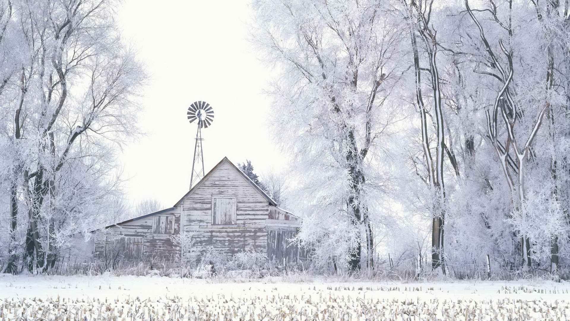 frost-covered barn in winter