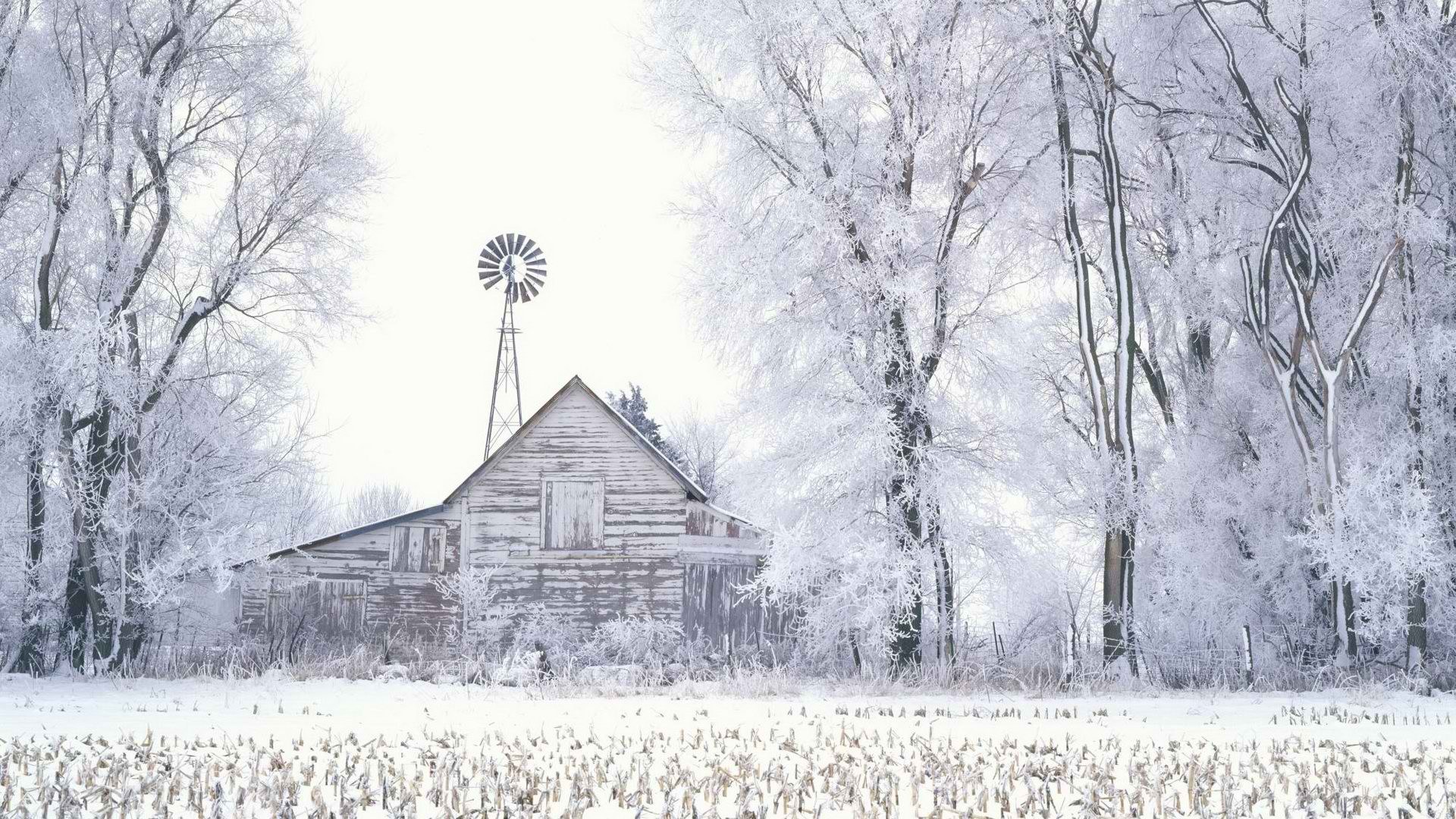 frost-covered barn in winter