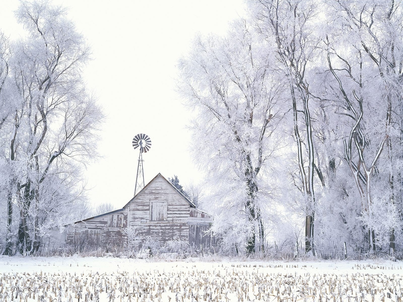 Frost-covered barn in winter