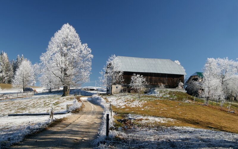 Frost-covered Barn
