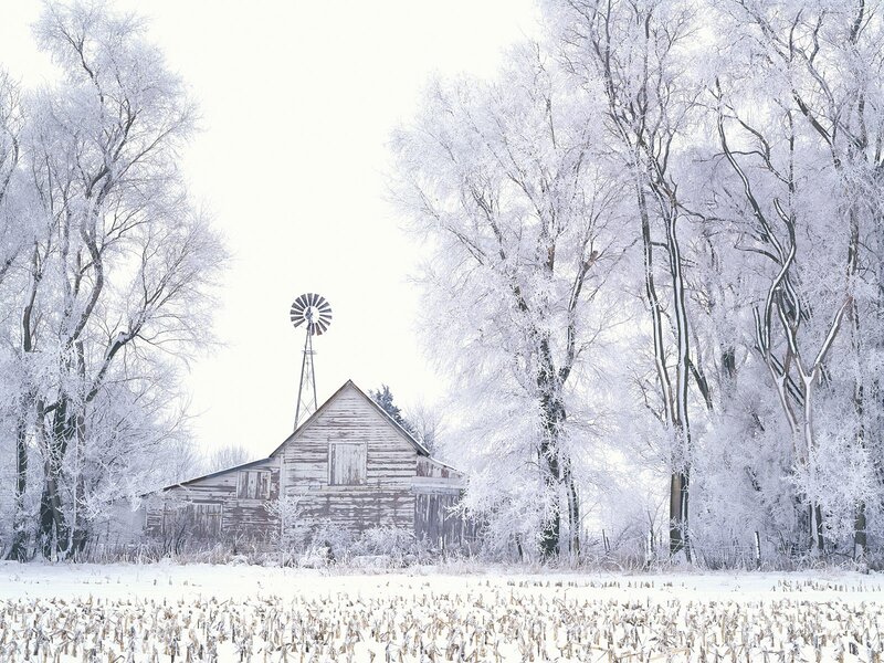 Frost-covered Barn — White