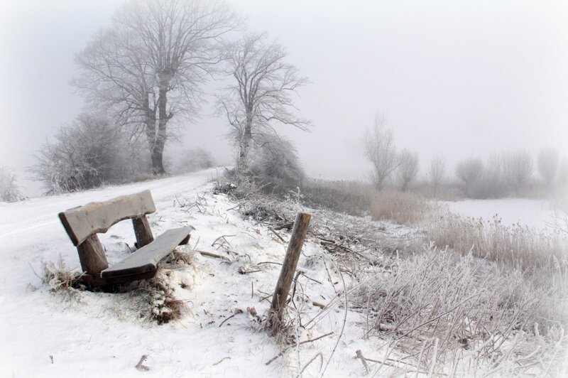 Frost-covered Bench — White
