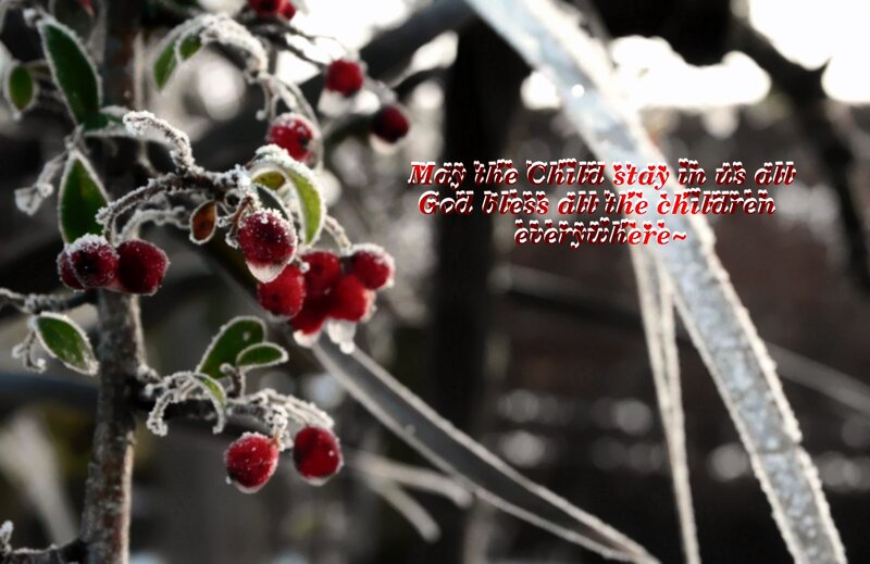Frost-covered Berries — Red, Serene