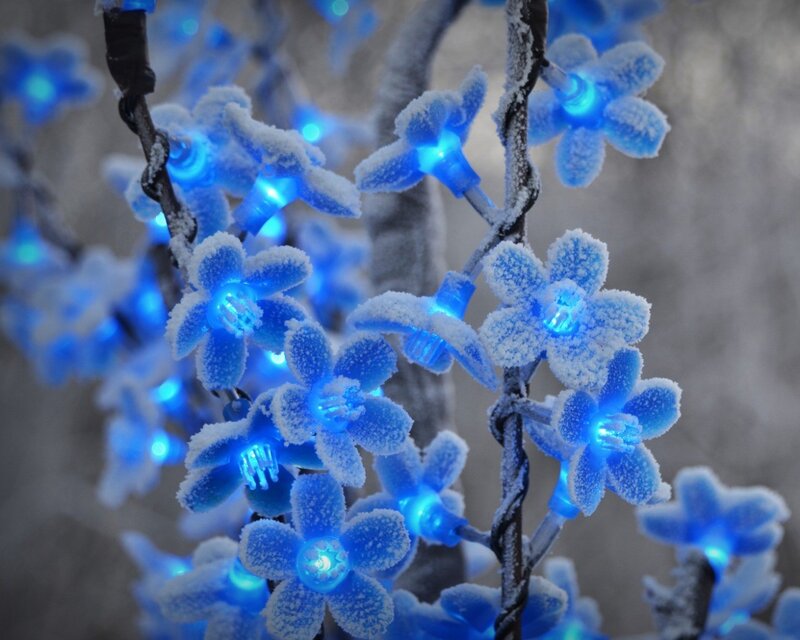 Frost-covered Blue Lights