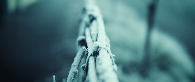 Frost-covered Branch — Blue, Cold, Winter, Photograph