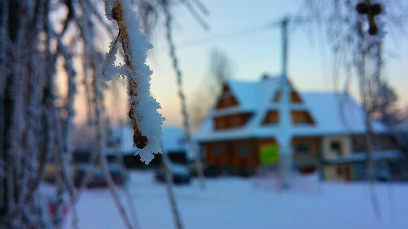 Frost-covered Branch — White, Cold, Winter, Photograph, House