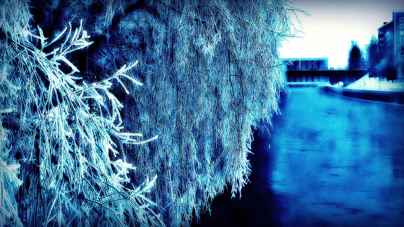 Frost-covered Branches — Blue, Cold, Winter, Photograph, River