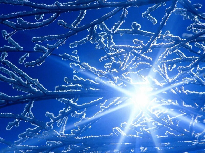 Frost-covered Branches — Blue, Dramatic