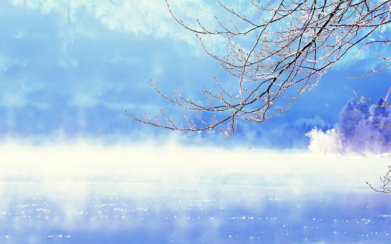 Frost-covered Branches — Blue, Serene, Winter, Photograph, Mist, Lake