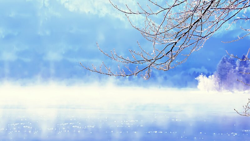 Frost-covered Branches — Blue, Serene, Winter, Photograph, Mist