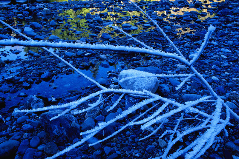 Frost-covered branches by a river