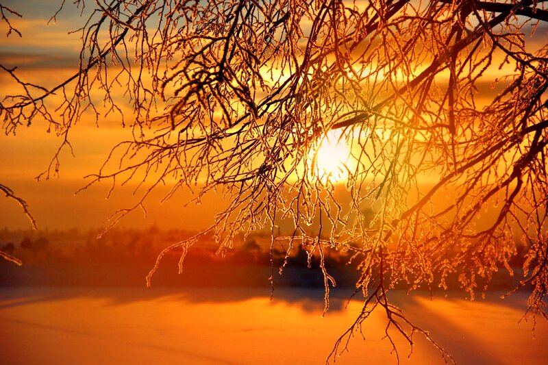 Frost-covered Branches — Orange, Dramatic, Sunset