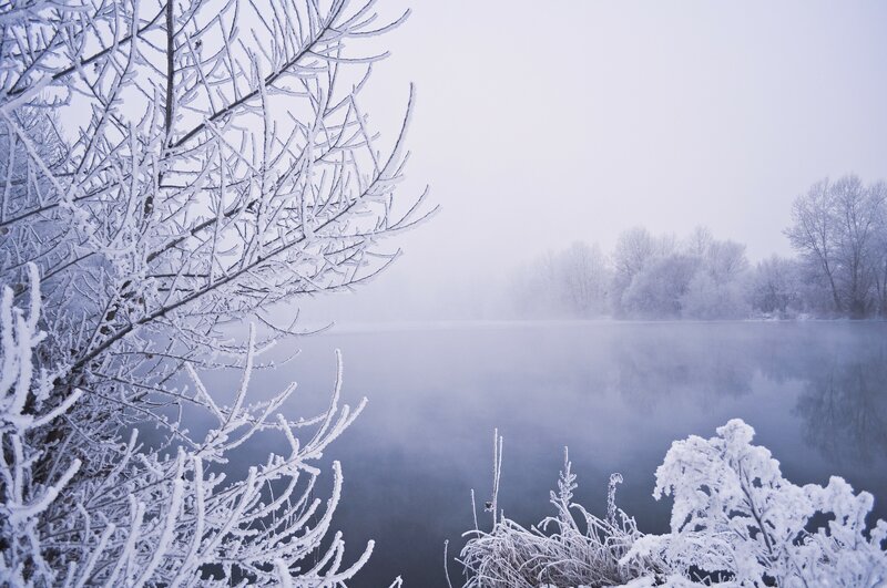 Frost-covered Branches — White, Serene, Winter, Photograph, River