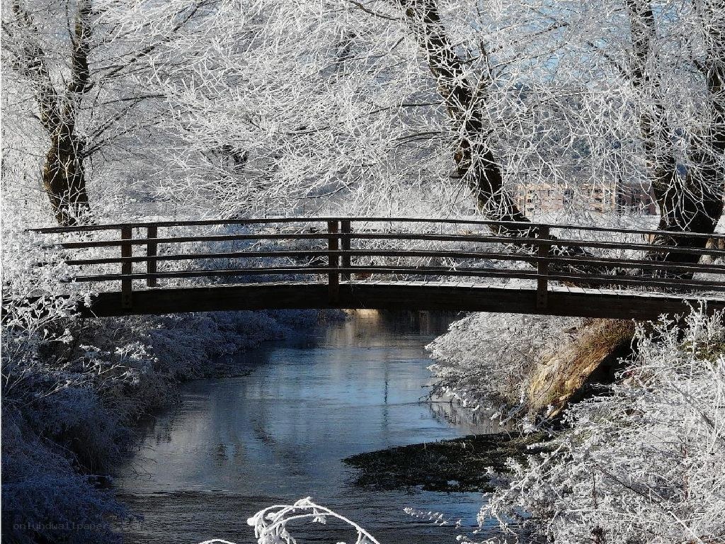 Frost-covered bridge over river