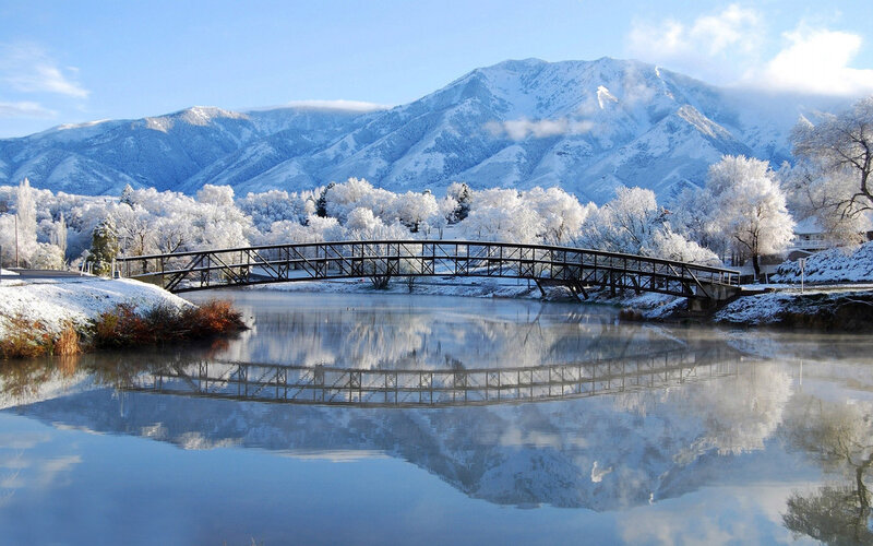 Frost-covered Bridge