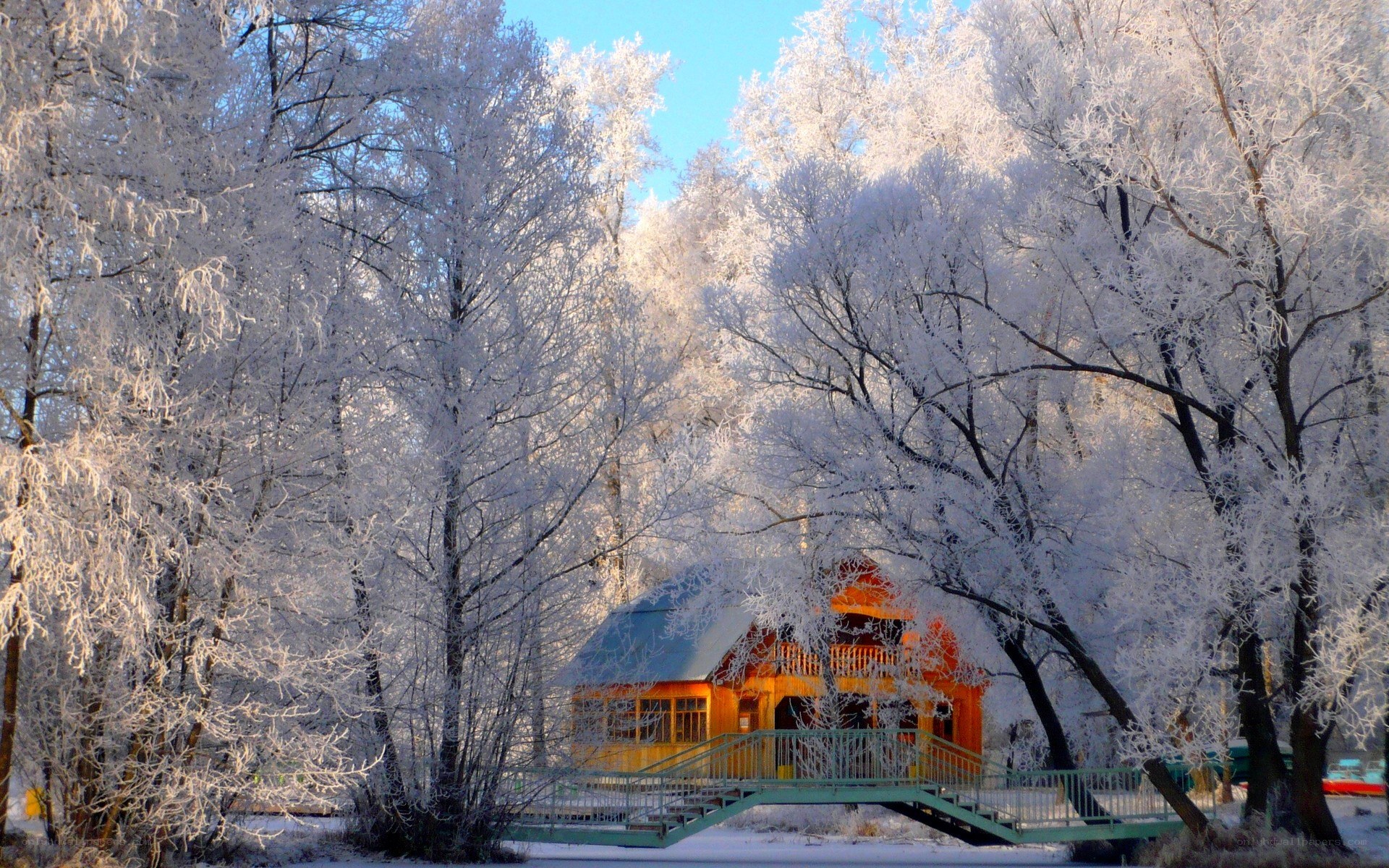 Frost-covered cabin in winter forest