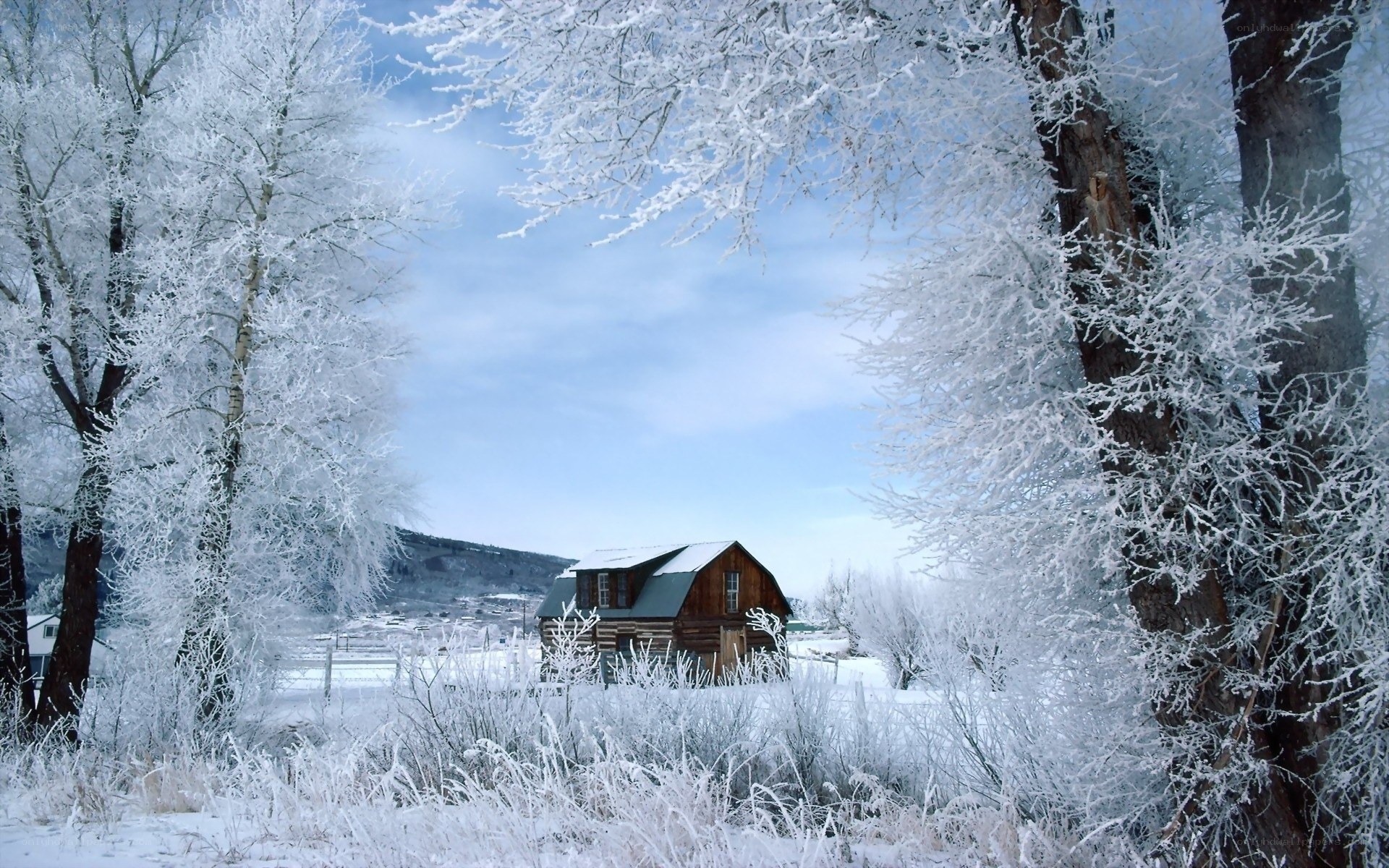 Frost-covered cabin in winter