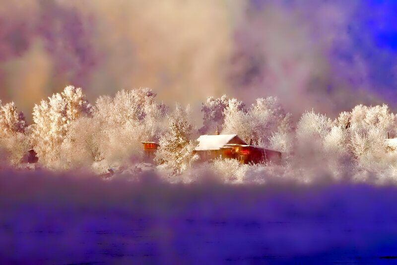 Frost-covered Cabin — Purple