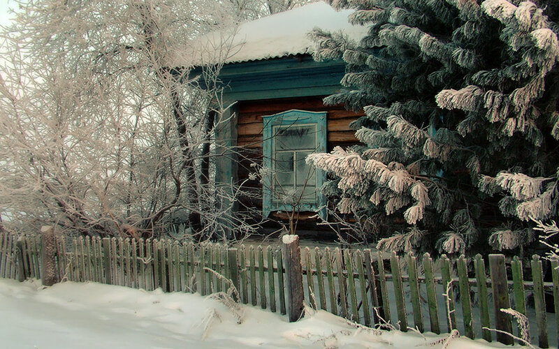 Frost-covered Cabin — White, Cold