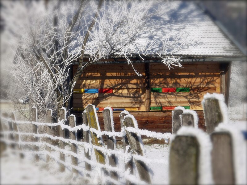 Frost-covered Cabin — White