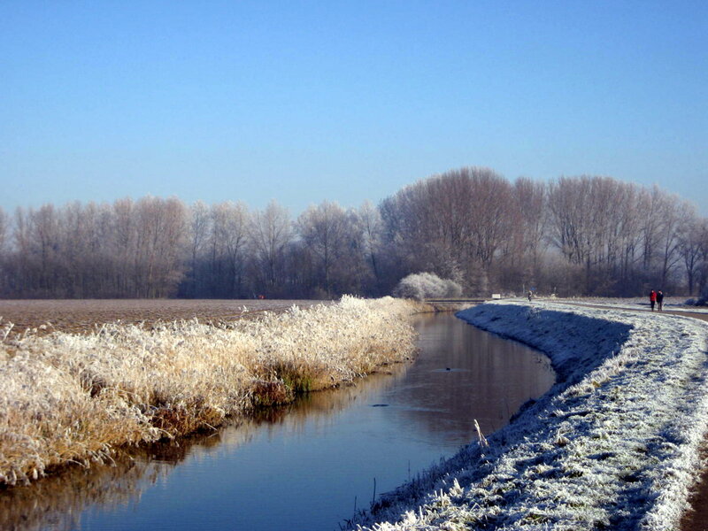 Frost-covered Canal — Blue