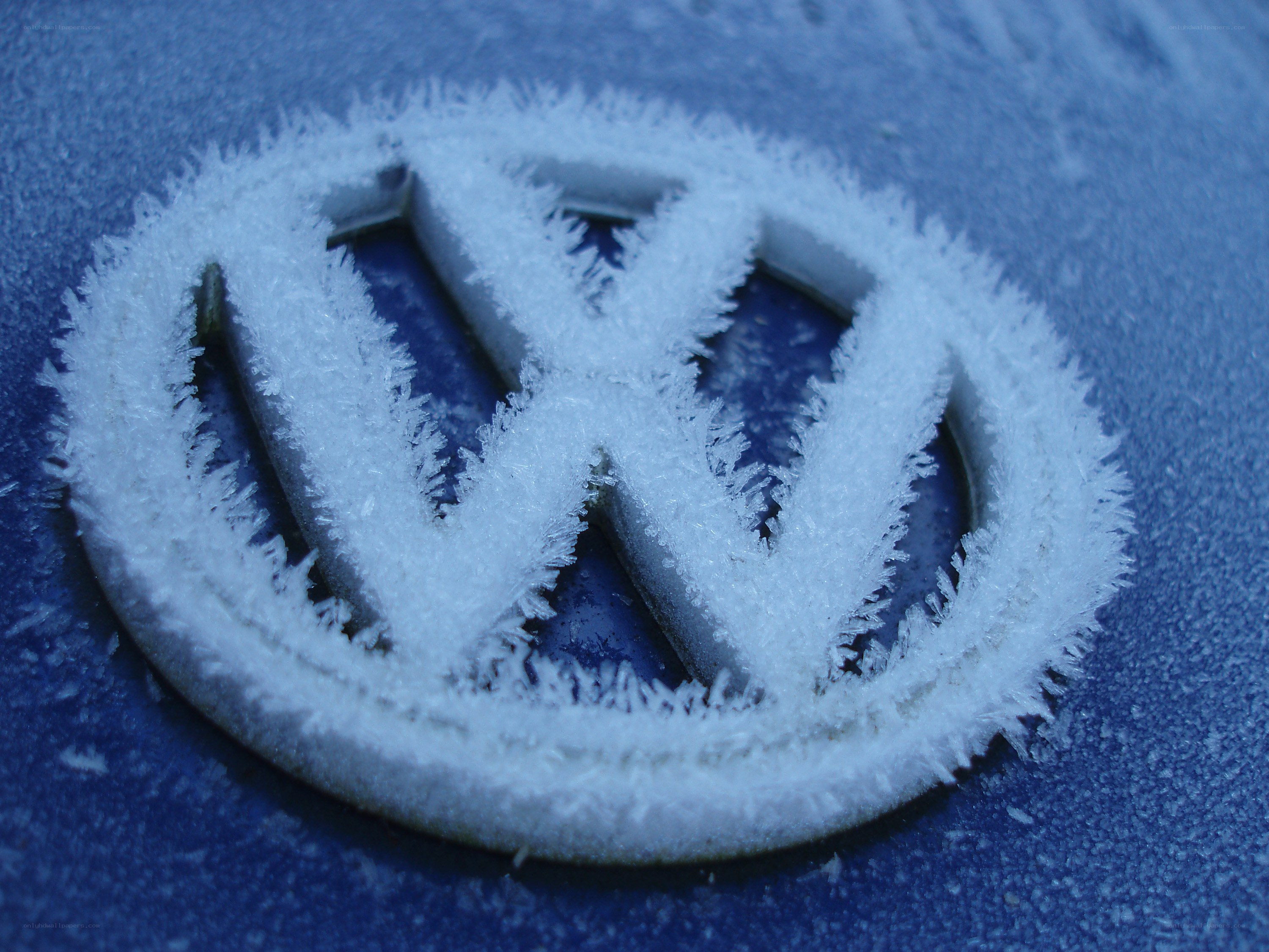 frost-covered car emblem