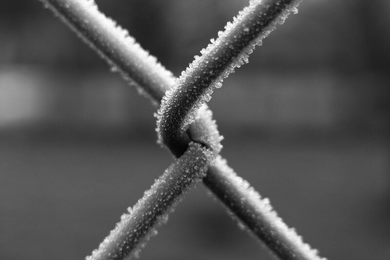 frost-covered chain-link fence