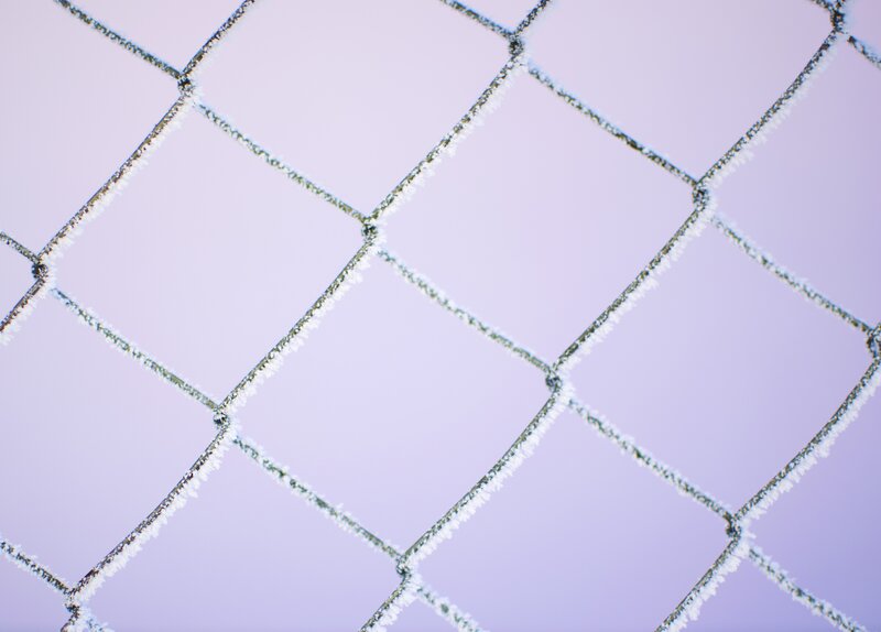 Frost-covered Chain-link Fence — Purple