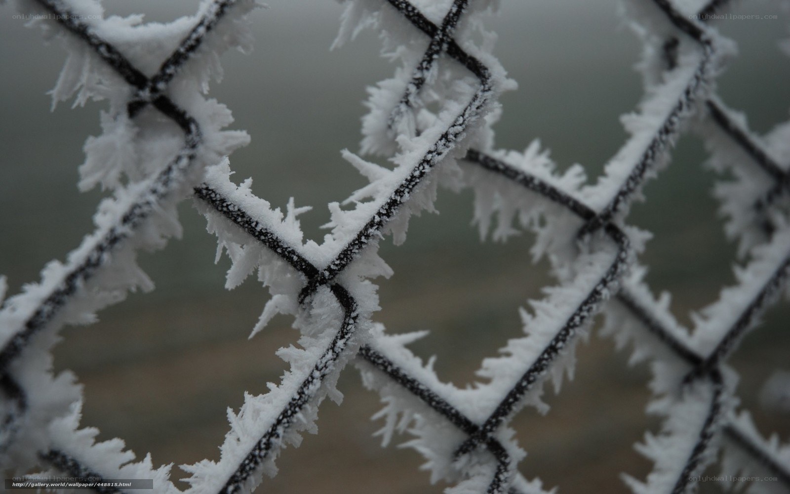 frost-covered chain-link fence