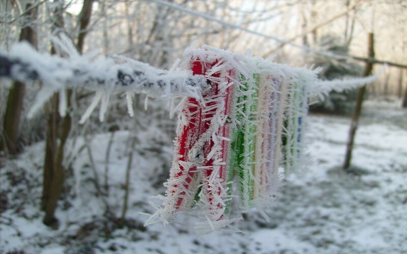 frost-covered clothespins