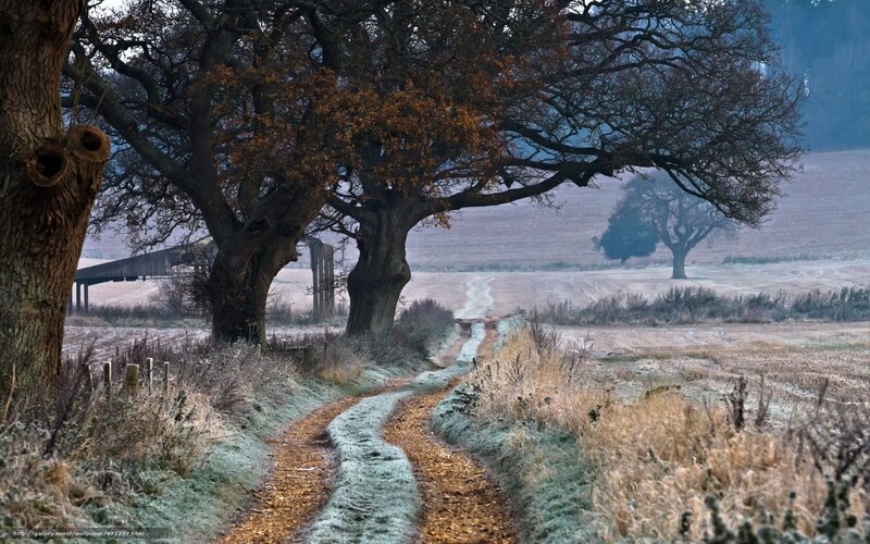 Frost-covered Country Path — Brown, Serene