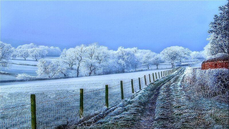 Frost-covered Country Path