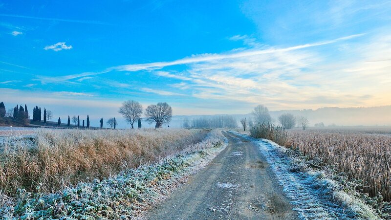Frost-covered Country Road