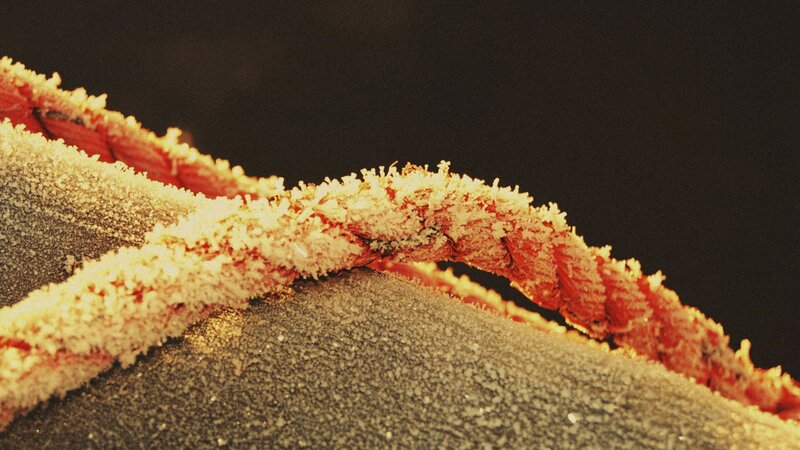 frost-covered crab claw