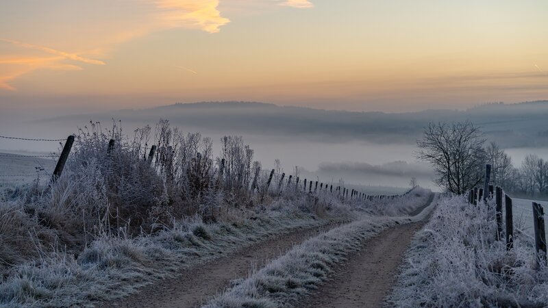Frost-covered Dirt Path