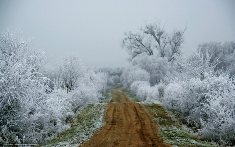 Frost-covered Dirt Road