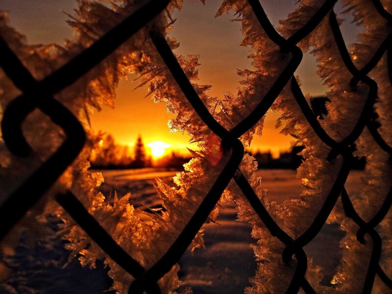 Frost-covered Fence at Sunset