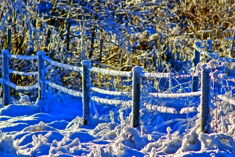 Frost-covered Fence — Blue