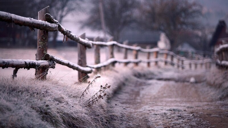 Frost-covered Fence — Gray, Cold, Winter