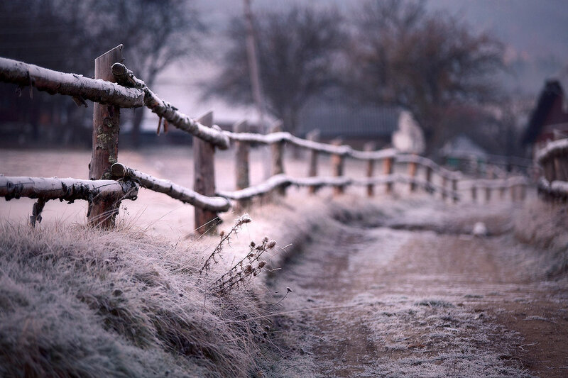 Frost-covered Fence — Gray