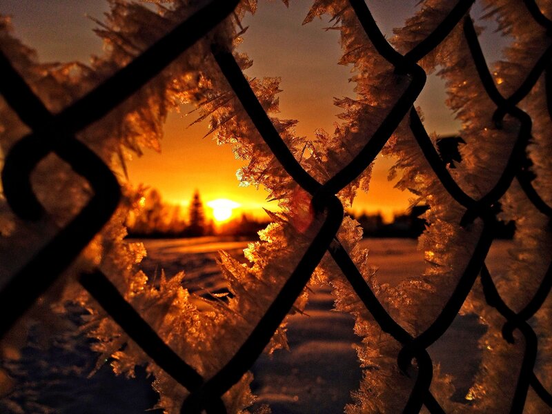 Frost-covered Fence — Orange