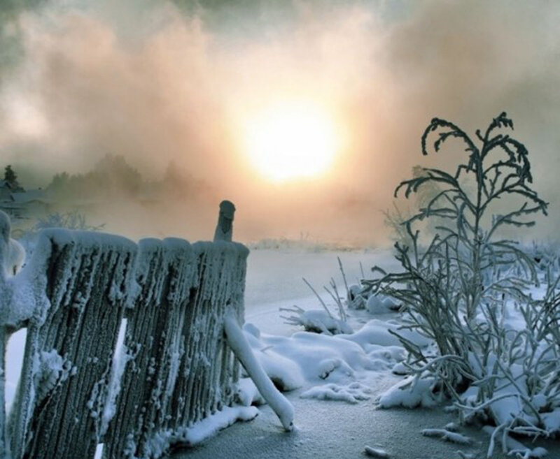 Frost-covered Fence — White, Cold