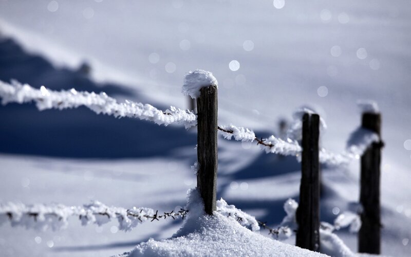 Frost-covered Fence — White, Cold, Winter