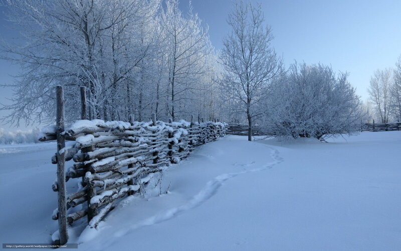 Frost-covered Fence — White, Serene