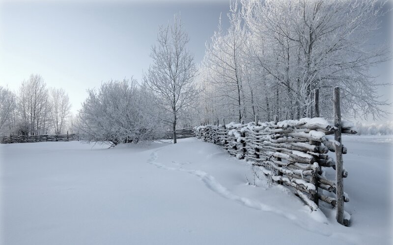 Frost-covered Fence — White, Serene, Winter