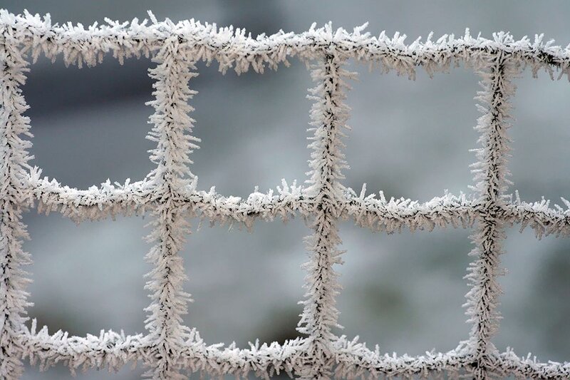 Frost-covered Fence — White