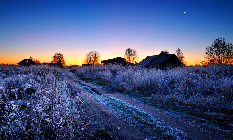 Frost-covered Field at Dawn — Blue