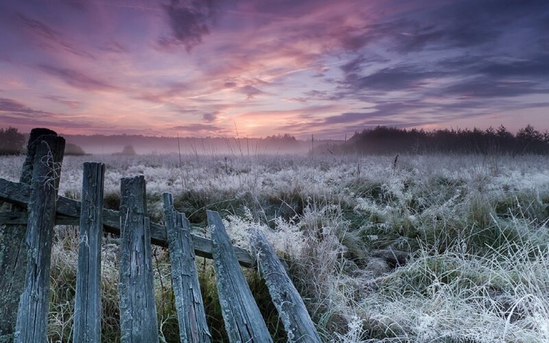 Frost-covered Field at Dawn — Purple