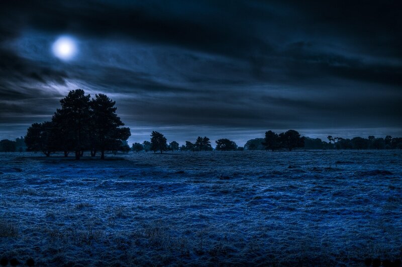 Frost-covered Field at Night
